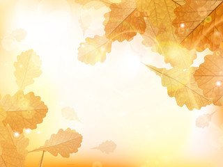 Naklejka na ściany i meble Autumn design background with leaves