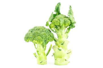 Fresh broccoli