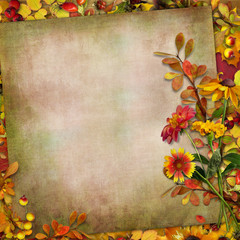 Autumn leaves, flowers and berries on a vintage background