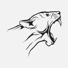 Lion head. Vector.