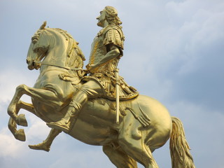 Fototapeta premium August in Gold