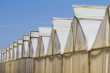 View of a row of rural greenhouses against a blue sky.