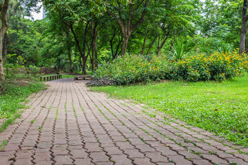 Pathway in nature