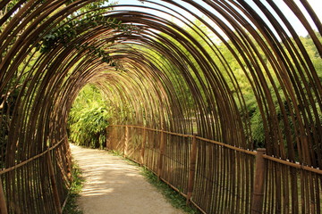 Tunnel de bambou