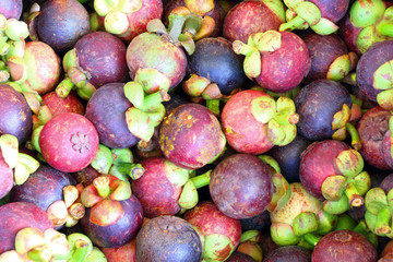 Mangosteen in Thailand