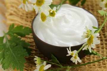 natural cosmetic cream lotion with green camomile