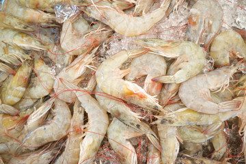 Fresh shrimps
