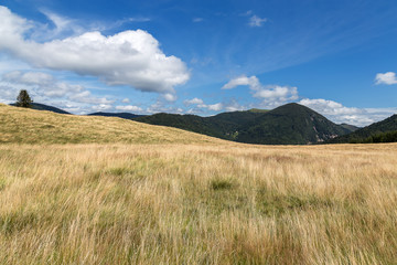 paysage des Vosges