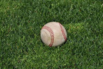 Baseball