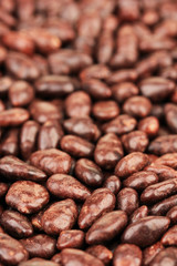 Sunflower grains in chocolate, close up
