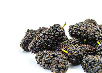 mulberry isolated on white background