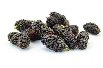 mulberry isolated on white background