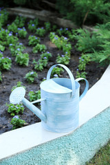 Watering can on green bushes background