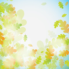 Oak autumn background, vector