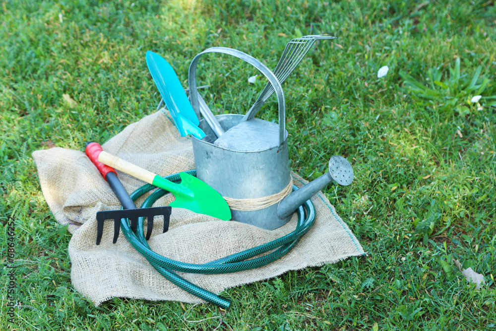 Wall mural garden tools on green grass background