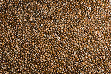 Coffee Beans Texture
