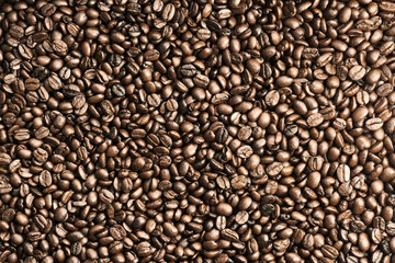 Coffee Beans Texture