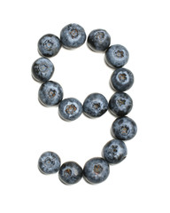 Number 9 arranged from northern highbush blueberry isolated