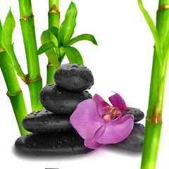 Fototapeta na wymiar purple orchid flower end bamboo