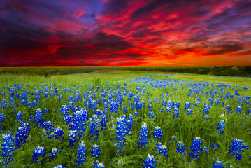 Sunset on Sugar Ridge Road, Ennis, TX