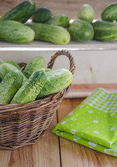 Fresh cucumbers with black pimples