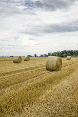 Strohballen auf gemähtem Acker