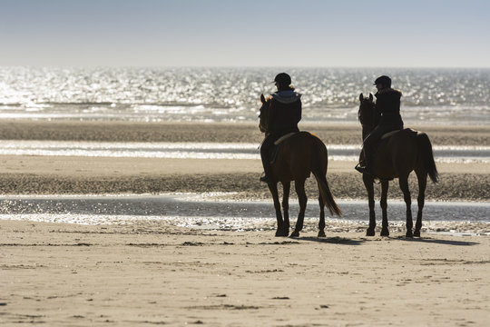 Cavaliers et leurs chevaux sur la plage en train de marcher et d