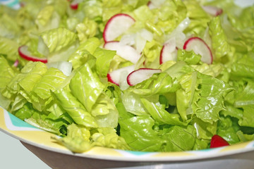 Fresh Garden Salad With Thin Radish Slices