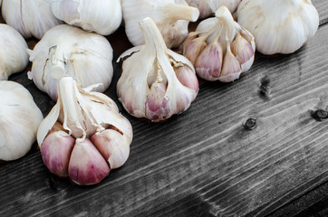 Bio garlic from bio herbs garden