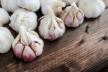 Bio garlic from bio herbs garden