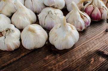 Bio garlic from bio herbs garden