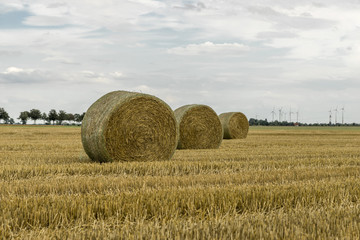 Strohballen auf gemähtem Acker