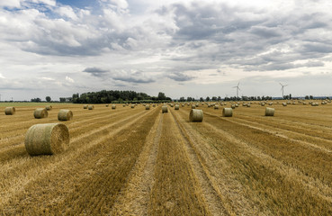 Obraz premium Strohballen auf gemähtem Acker
