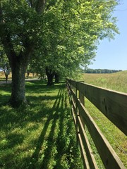 rural fence