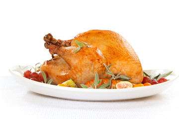 Roasted Turkey on tray over white