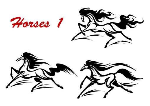 Horse stallions mascots and tattoos