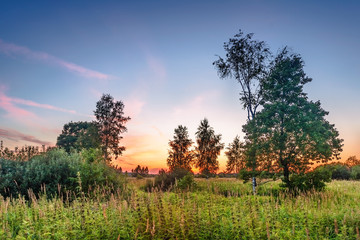 Fototapeta na wymiar Sunset in summer field