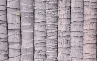 Textured of coconut wood.