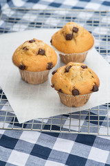 Home made tasty chocolate chip muffins on cooling rack