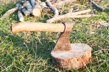 Tourist ax stuck in stump