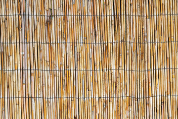 Beautiful texture