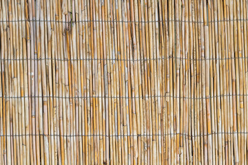 Beautiful texture