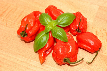 Red Scotch Bonnet Peppers