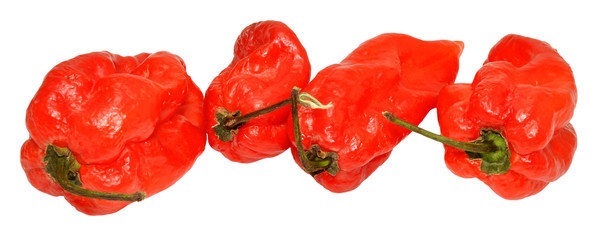 Red Scotch Bonnet Peppers