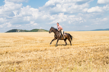 Man ride horse on field - freedom and hapiness