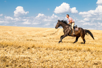 Man ride horse on field - freedom and hapiness