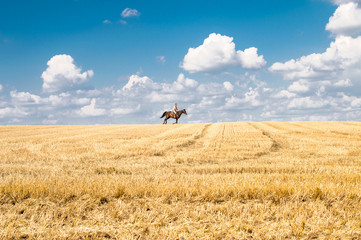 Man ride horse on field - freedom and hapiness