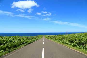 能取岬への道