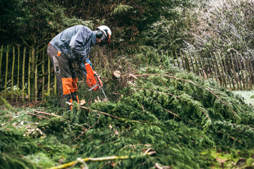 Professional gardener using chainsaw