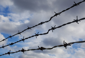 A close up of barbed wire against a cloudy sky